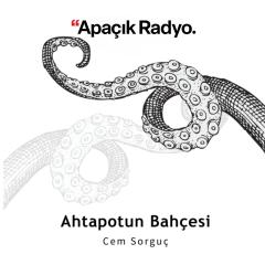 Açık radyo