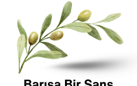Barışa Bir Şans: Meclis&#039;te Yeni Dönem, Eski Sorgular