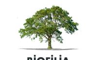 Biofilia: 22 Ağustos 2019