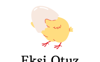 #1 | Duygu Mühürdar’ın sesinden müzik sektöründe mentorsuzluk, gatekeeping ve değişim önerileri | Eksi Otuz