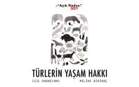 Türkiye&#039;nin hayvan hakları gündemi: Av. Hülya Yalçın&#039;la söyleşi
