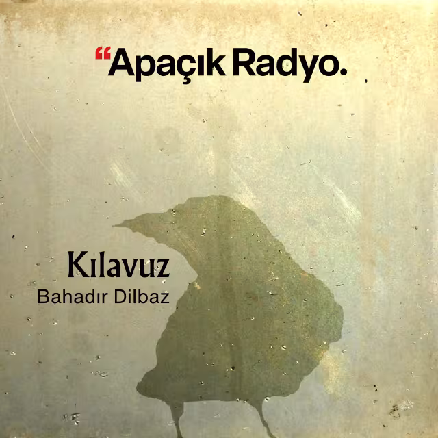 Kılavuz