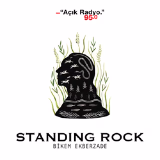Standing Rock (Dikilen Kaya)