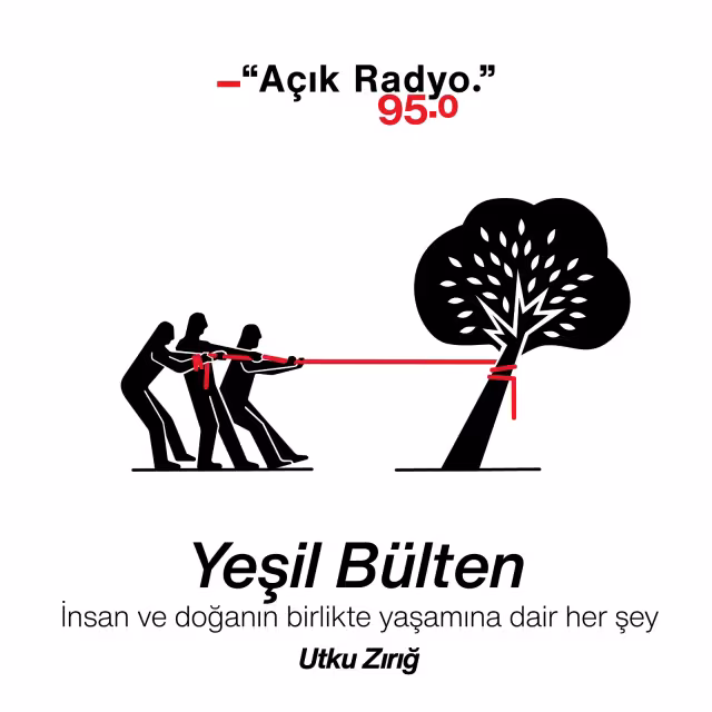 Yeşil B&uuml;lten