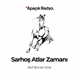 Sarhoş Atlar Zamanı
