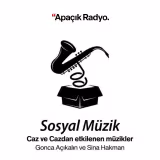 Sosyal M&uuml;zik