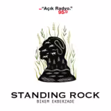 Standing Rock (Dikilen Kaya)